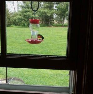 Meet your Posher, Dottie